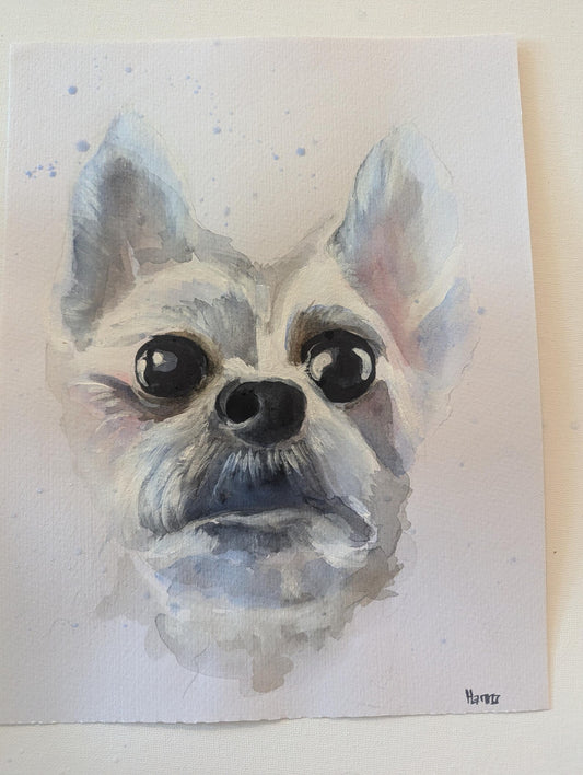 Custom Hand painted Pet portrait - Custom Pet portrait - Custom Pet Painting - Watercolor Original Painting - art Pet Watercolor from photo